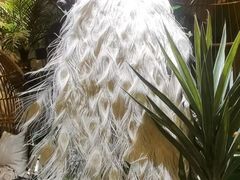 -泰谷玲抓龙筋SPA·泰式按摩(五一广场店)