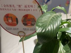 -大鸭梨烤鸭(房山店)