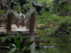 -绿光森林餐厅