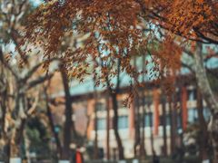 -华东政法大学(松江校区)
