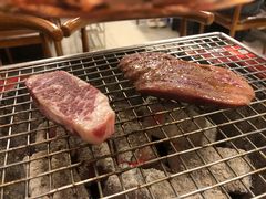 -奥西拉烤肉,盒饭,冷面(青岩刘店)