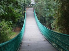 -南宁良凤江国家森林公园