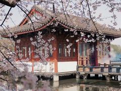 -西安青龙寺遗址景区