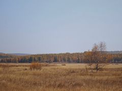 -塞罕坝国家级自然保护区