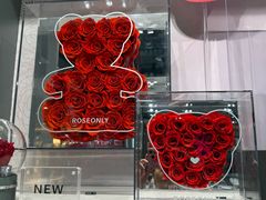 -ROSEONLY诺誓(国际广场购物中心店)