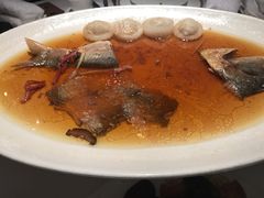 酒酿蒸鲥鱼-苏浙总会(国金中心店)