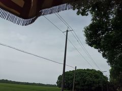 -嘉北郊野公园