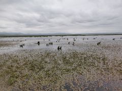 -花湖生态旅游区