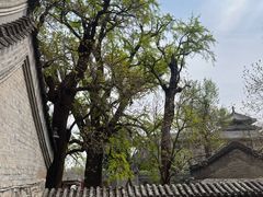 -北京凤凰岭