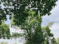 -苏州太湖国家湿地公园