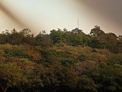 -广州雕塑公园