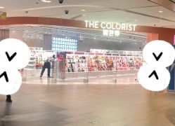 -THE COLORIST调色师