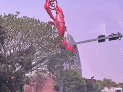 -盱眙红叶龙虾(金源北路店)