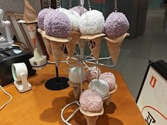 -野人先生现做冰淇淋(北京环宇荟店)