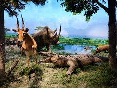 -国家自然博物馆