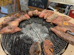 -京北渔家傲