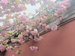 -龙王庙行宫