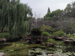 -范蠡湖公园