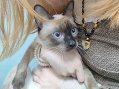 -中农大我爱我爱动物医院·核磁CT·猫病·24小时夜诊中心(石佛营店)