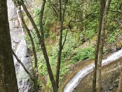 -燕子河大峡谷天坑仙境