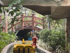 -南宫五洲植物乐园