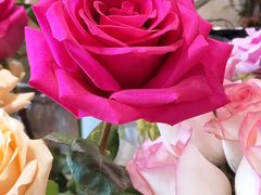 -爱尚花坊(大林路店)