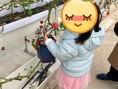 -长洲岛都市农业公园