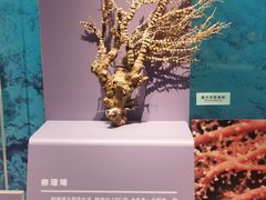 -天津自然博物馆