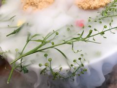 -九福楼大酒店