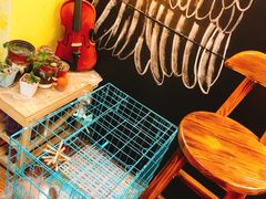 -志龙皇冠吃货椰子铺