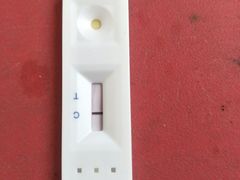 -佳雯宠物医院(四明中路分院)