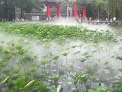 -四川大学(望江校区)