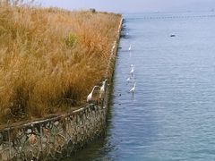 -碧桂园十里银滩