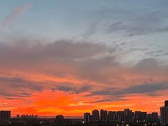-三圣花乡旅游区