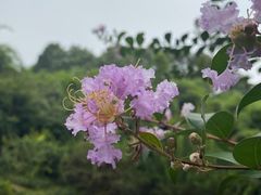 -汇龙潭