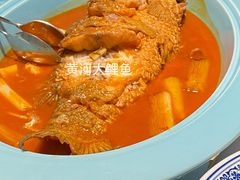 -阿五黄河大鲤鱼(英协路店)