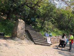 -紫金山山顶公园