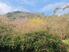 -小南山公园
