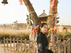 -镇北堡西部影城