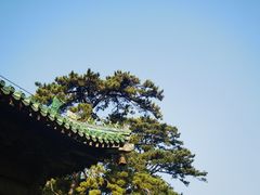-普乐寺
