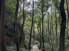 -浮山风景名胜区