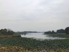 -东湖落雁景区