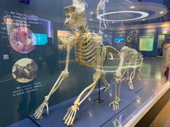 -国家自然博物馆