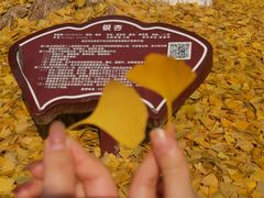 -宝通禅寺