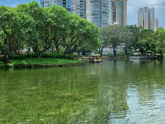 -晓港公园