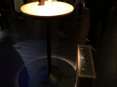 -武汉知音号