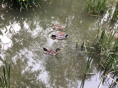 -泰安地下龙宫景区