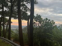 -风云岭森林公园