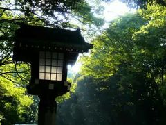 -金逸影城(大悦城IMAX激光店)