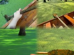 -渌洋湖湿地公园
